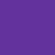 M31038 NPT FF Fluor Violet