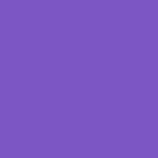 EH1212 NPT HO Team Violet - 1 US Gal