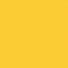 C34449 NPT Yellow